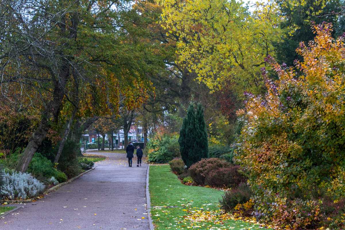 Walking through the autumn colour in Kings Heath Park.